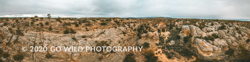 Petroglyph Canyon - Go Wild Photography [description]  [price]