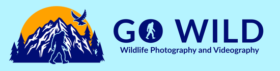 Go Wild Photography