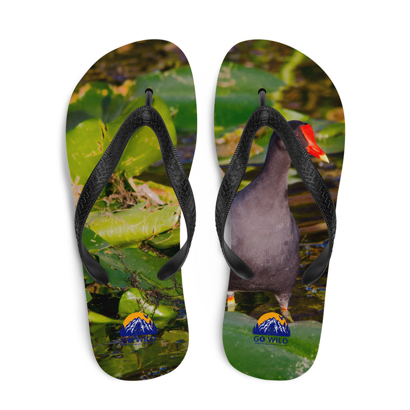 Common Moorhen Flip-Flops - Go Wild Photography [description]  [price]