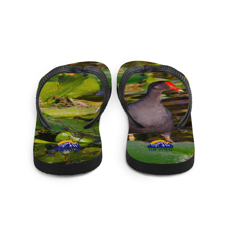 Common Moorhen Flip-Flops - Go Wild Photography [description]  [price]