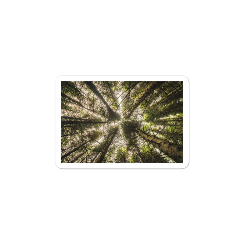 The Most Remote Woods in Scotland Bubble-free stickers - Go Wild Photography [description]  [price]