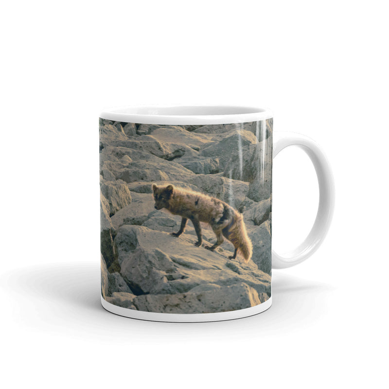 Arctic Fox Coffee Mug - Go Wild Photography [description]  [price]