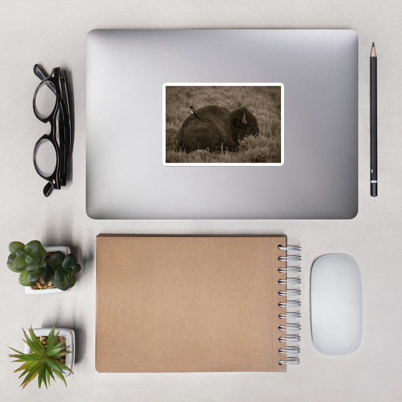 The Bison and the Magpie Bubble-free stickers - Go Wild Photography [description]  [price]
