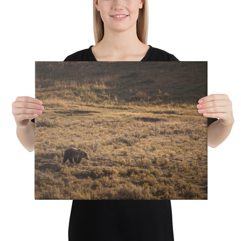Grizzly - Go Wild Photography [description]  [price]