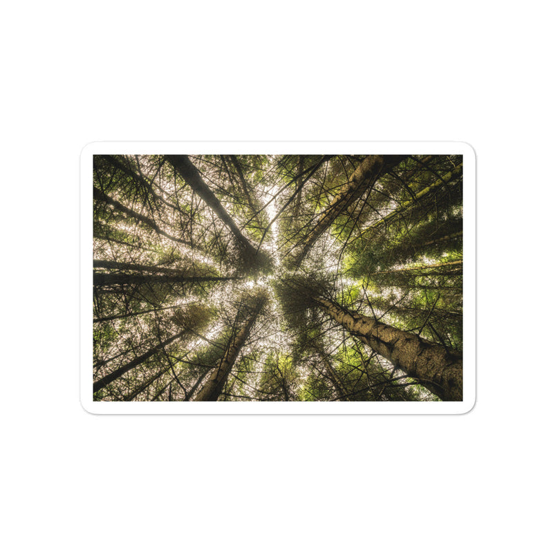 The Most Remote Woods in Scotland Bubble-free stickers - Go Wild Photography [description]  [price]
