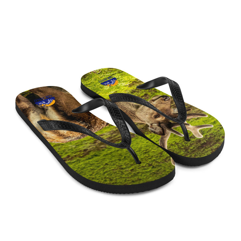 Prince of the Forest Flip-Flops - Go Wild Photography [description]  [price]