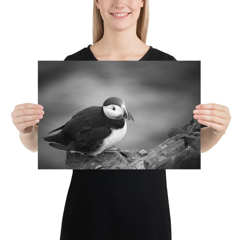 Atlantic Puffin Black and White - Go Wild Photography [description]  [price]