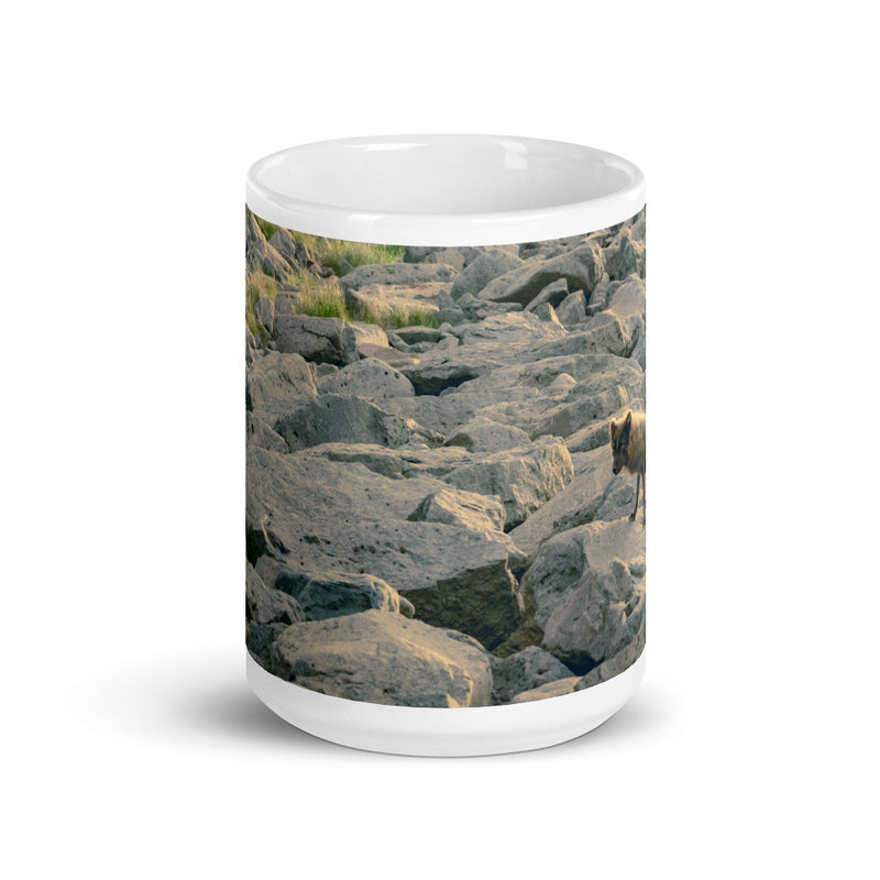 Arctic Fox Coffee Mug - Go Wild Photography [description]  [price]